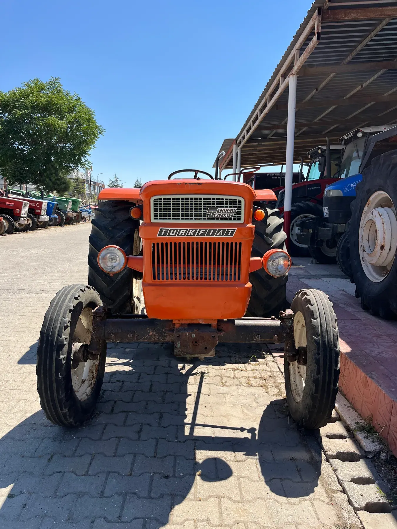 Fiat 480 - 2