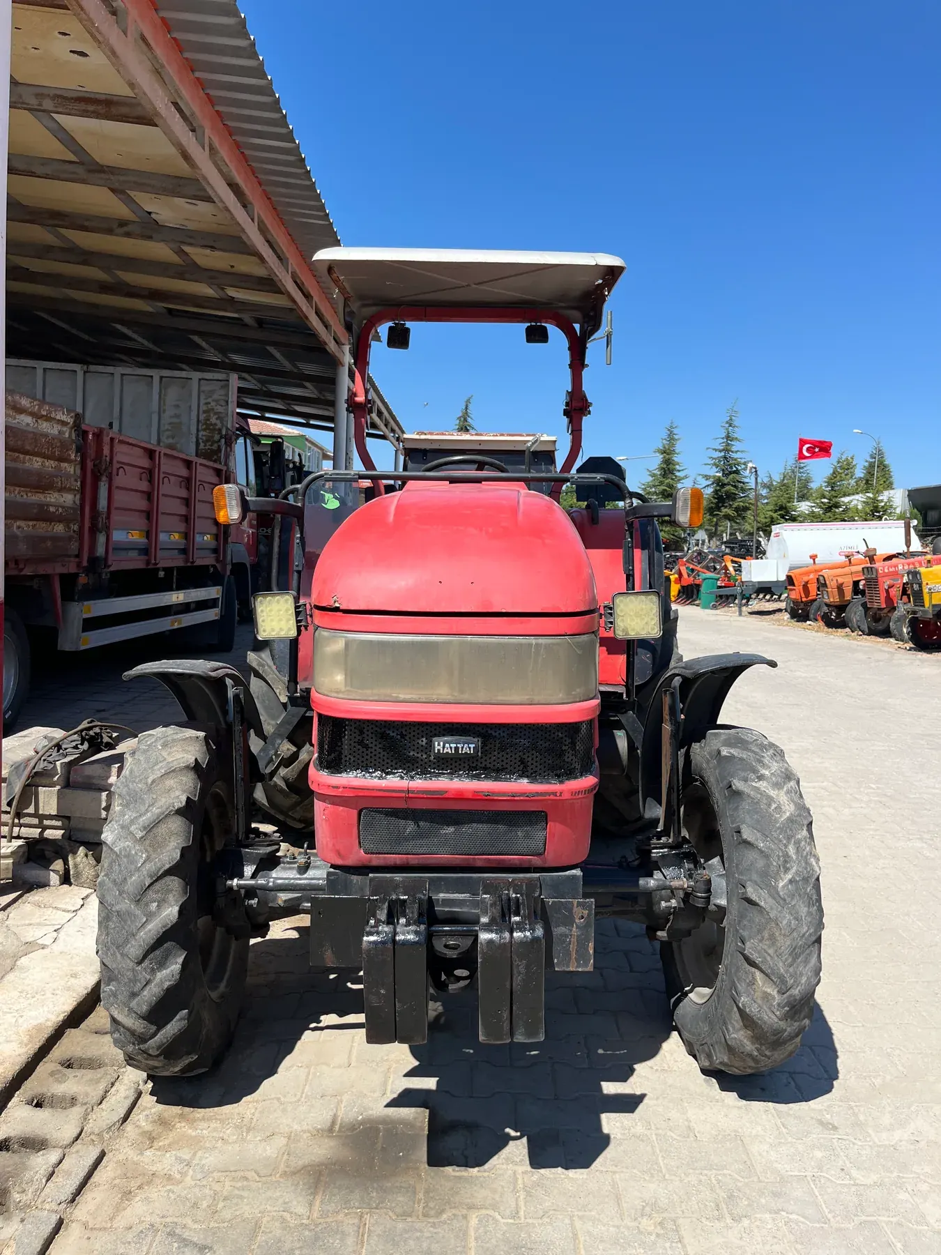 Hattat H45 - 3
